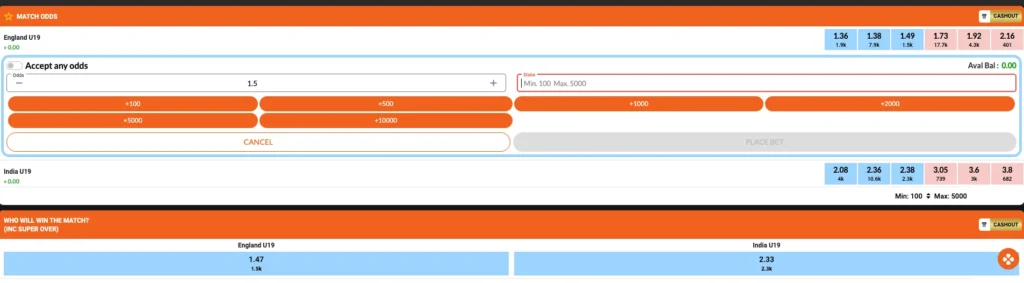 Understanding the Cricket Betting Interface